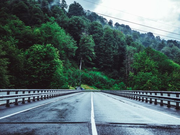 Daikoku car meet: japan's legendary car enthusiast gathering
